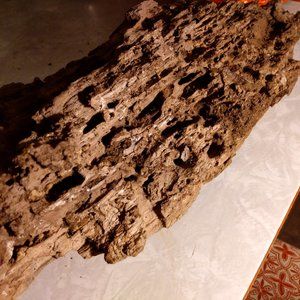 Weathered Driftwood Piece Boring Burrow Patterns Garden Art Worm Wood